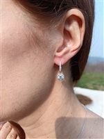 Vicenza - Piazzetta Palladio 2 - Orecchini Crivelli Donna DIAMANTI in Oro bianco Diamante 1.00 Ct 234-4422-50 - 234-4422-50